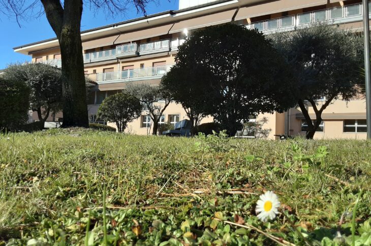 Il giardino con alberi e sede sullo sfondo